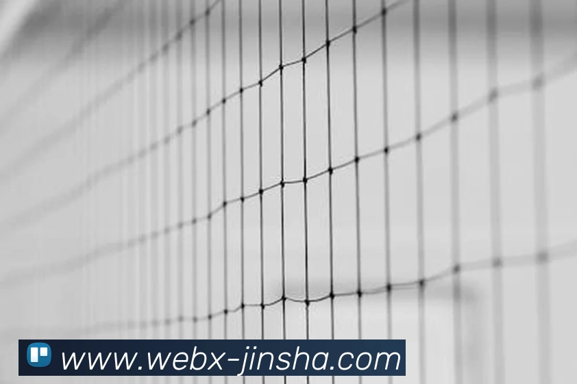 App Interface Preview