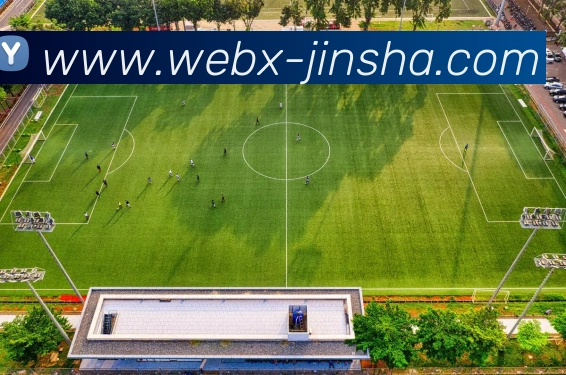 澳门金沙官网APP 封面图